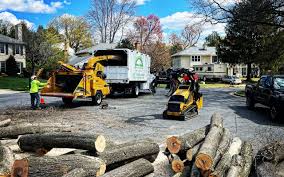 Best Residential Tree Removal  in Boyceville, WI